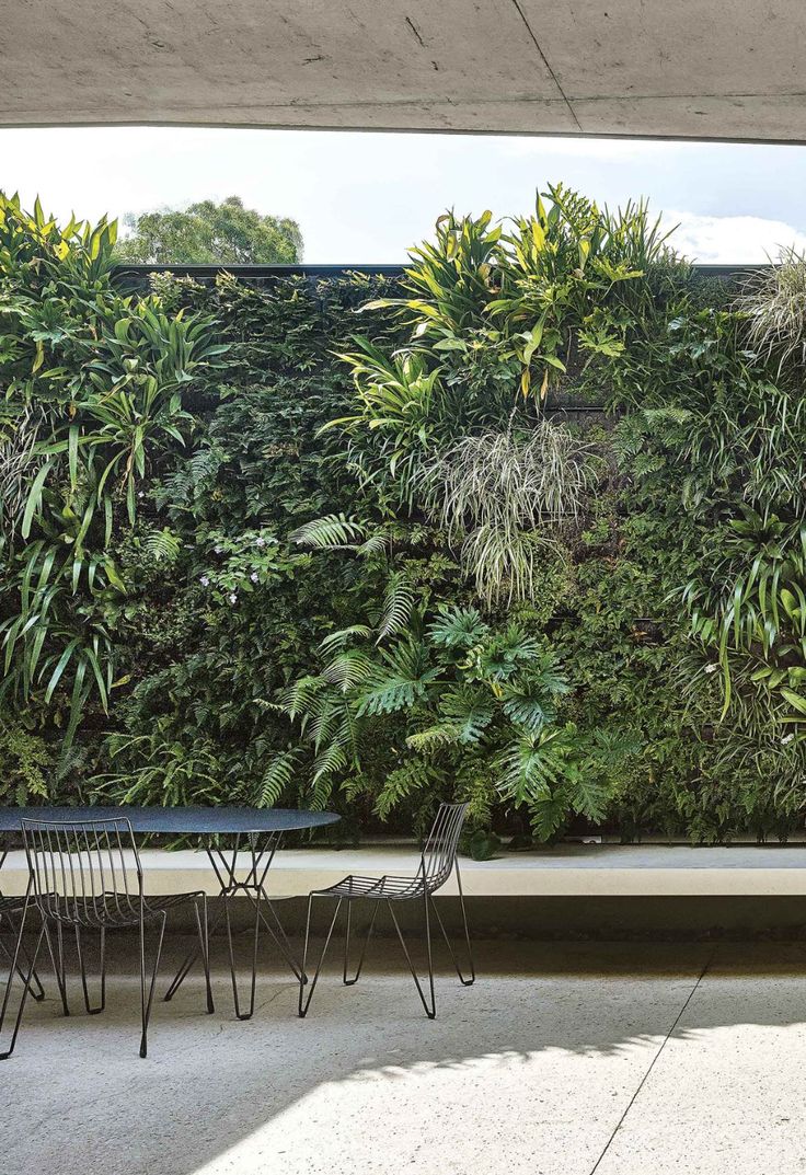 an outdoor dining area with chairs and plants on the wall