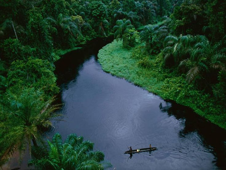 a person in a canoe on a river surrounded by trees