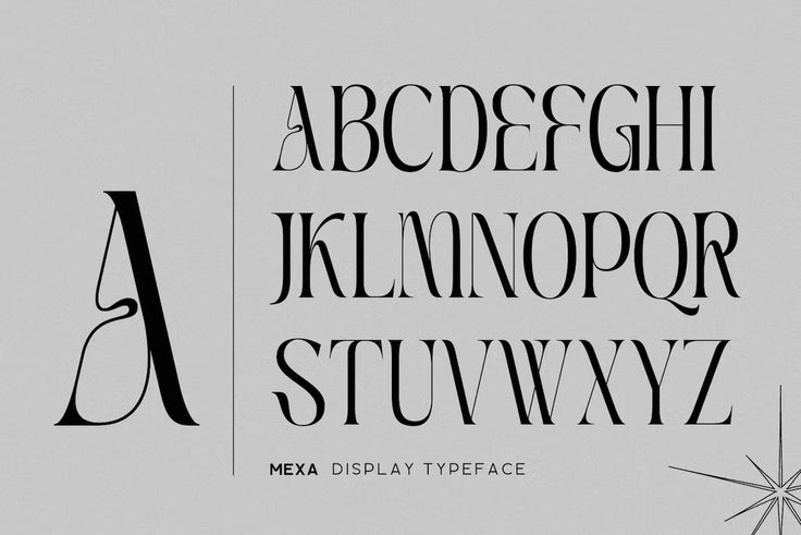 the upper and lower case of an old fashioned typeface is shown in black ink