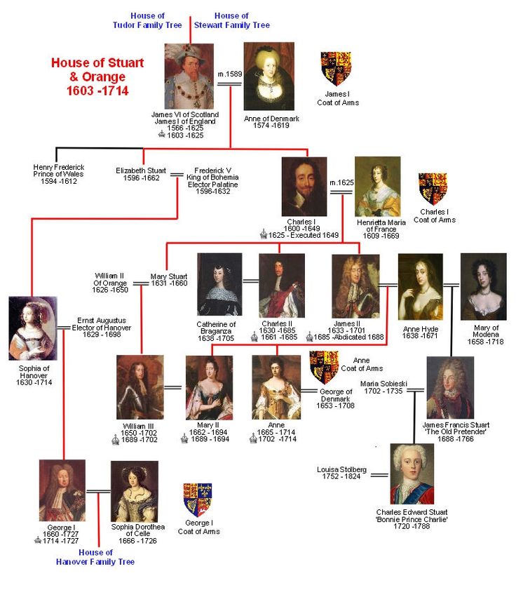 a family tree with pictures of people and their names on it, including the queen