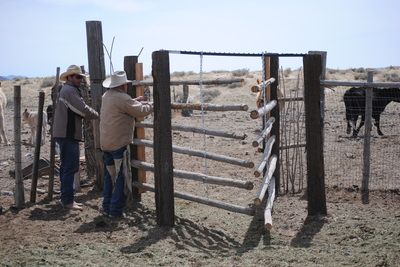 two men standing next to each other in front of a fence with cows behind them