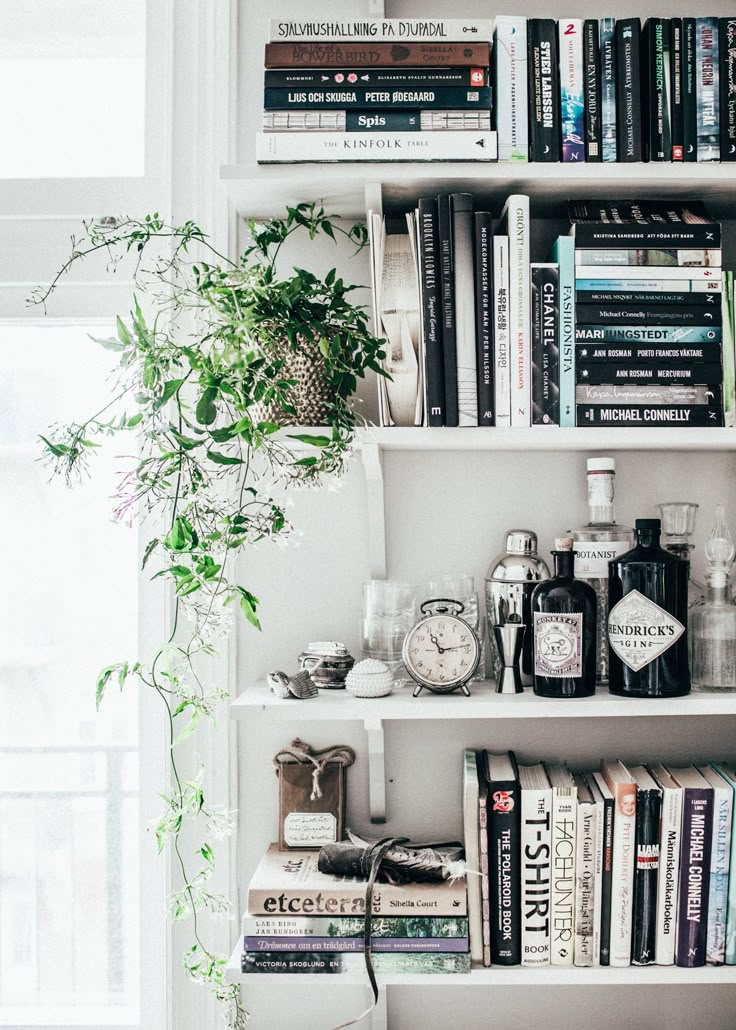 a book shelf filled with lots of books next to a potted plant on top of a table