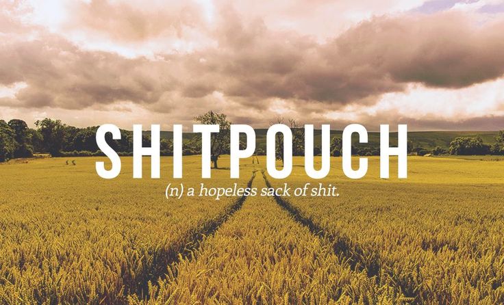 an image of a field with the words shitpouch in it