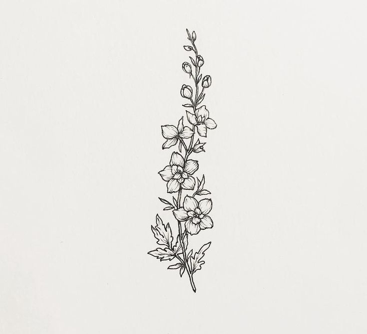 a black and white drawing of some flowers