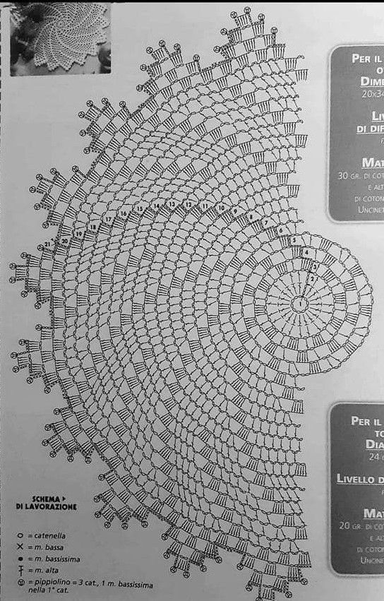 an intricate crochet doily pattern is featured in the book's manual