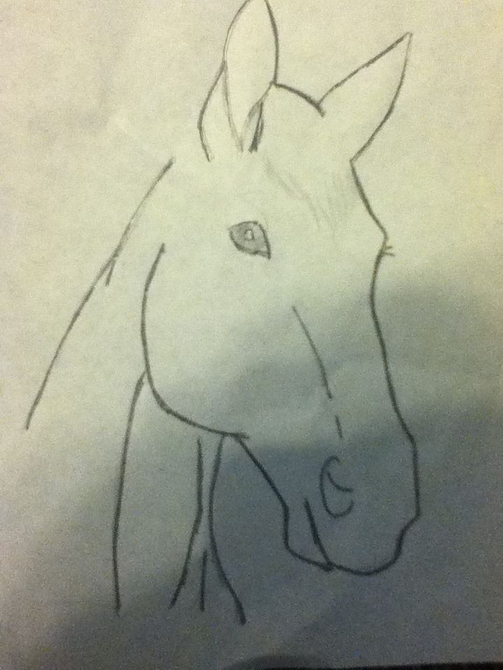 a drawing of a horse's head is shown in the middle of a piece of paper