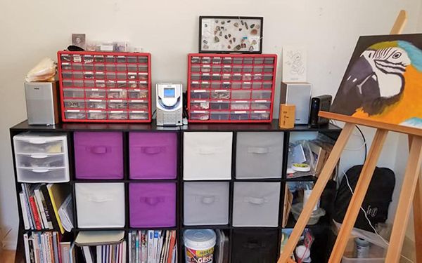 there are many drawers and bins on this shelf