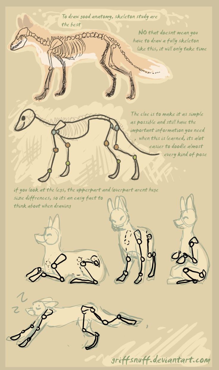 an image of some animals that are in the process of being drawn and colored by hand