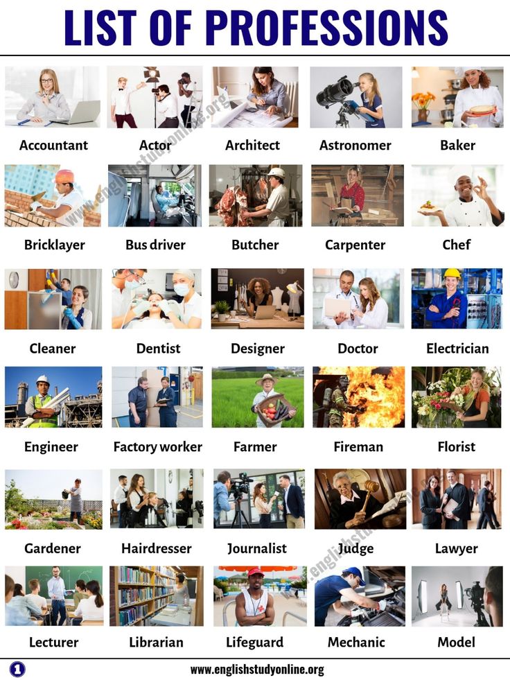 the list of professions and their jobs is shown in this graphic above it's image