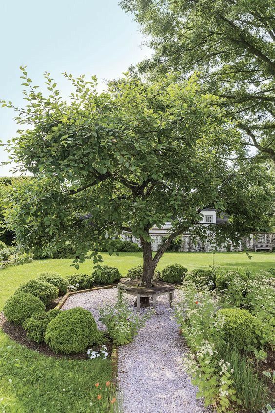 a large tree sitting in the middle of a lush green field next to a stone path