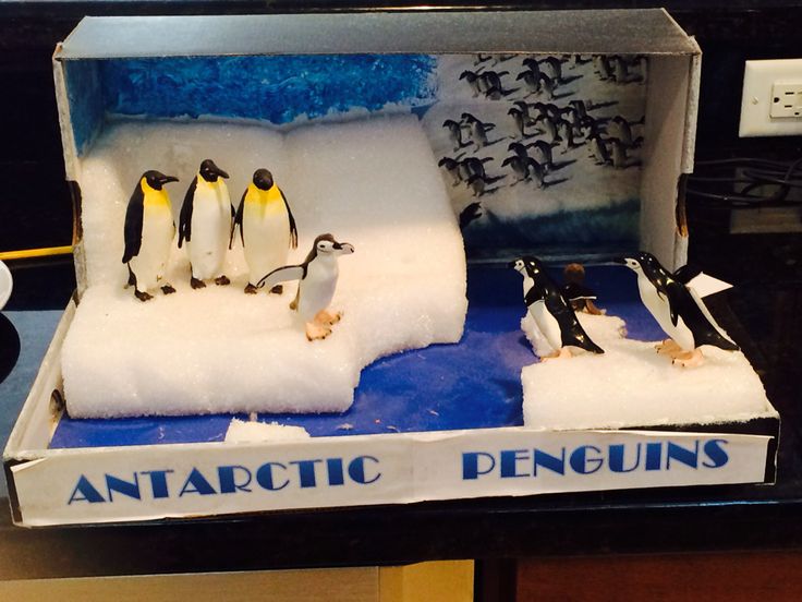 three penguins in an ice box with snow on the bottom and one penguin standing on top