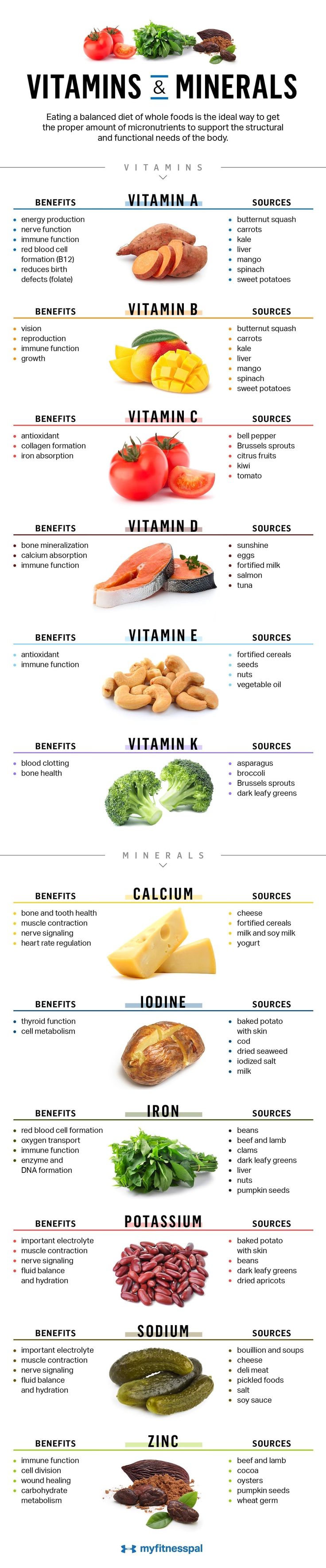 The Essential Guide to Micronutrients! ‘Micronutrients’ is a broad term used to describe vitamins and minerals. They are needed in much smaller quantities than macronutrients. These vitamins and minerals are involved in creating energy, cleaning up free radical damage, and maintaining organ health.  #MyFitnessPal #Micronutrients #micros #macros #diet #healthyeating #healthydiet #healthydietplans #weightlossplan #carbs #healthyfats #protein #vitamins #Minerals Food Health Benefits, Baking Soda Beauty Uses, Food Charts, Makanan Diet, Healthy Food Choices, Food Facts, Healthy Nutrition, Health Diet, Nutrition Tips