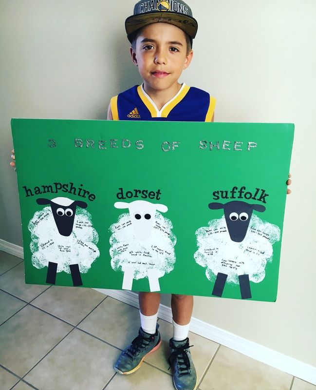 a young boy holding up a sign with sheep on it that says, i birds of sheep