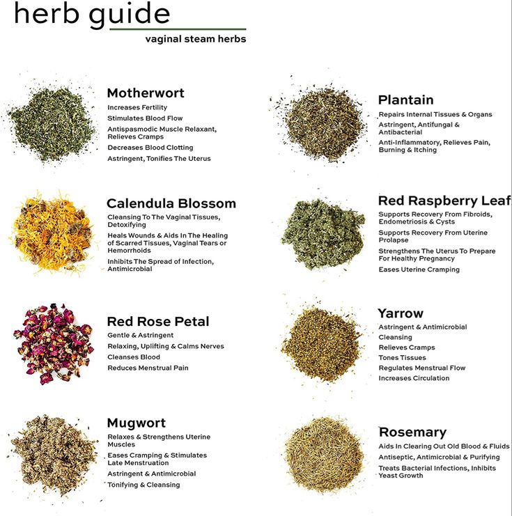 Herb Guide, Herbal Steam, Womb Healing, Medical Herbs, Magic Herbs, Magical Herbs, Feminine Health, Herbal Apothecary, Natural Healing Remedies