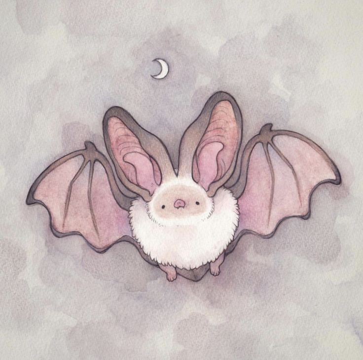 a drawing of a bat hanging upside down with its wings spread out and the moon in the background