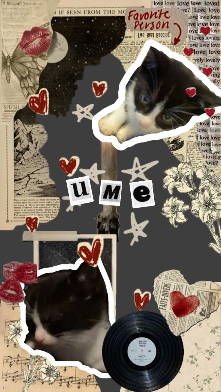 a collage of photos with cats and hearts on them, including an old record