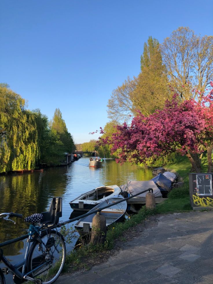 there are many boats on the water and one bike is parked next to some trees