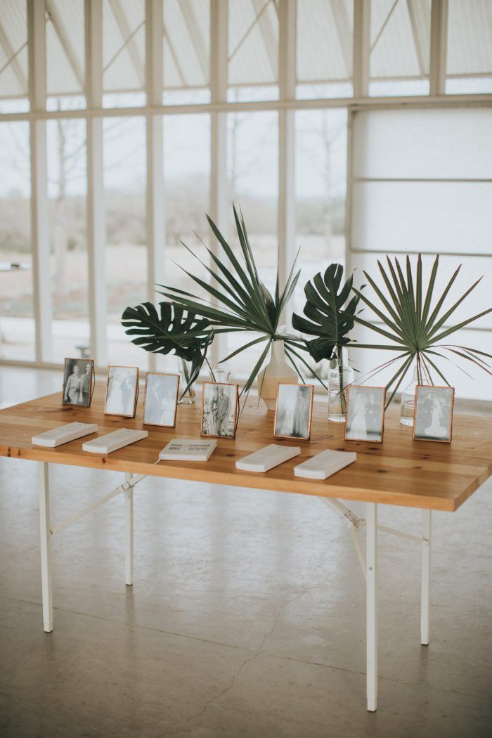 there are three plants on the table with pictures and frames in front of each other