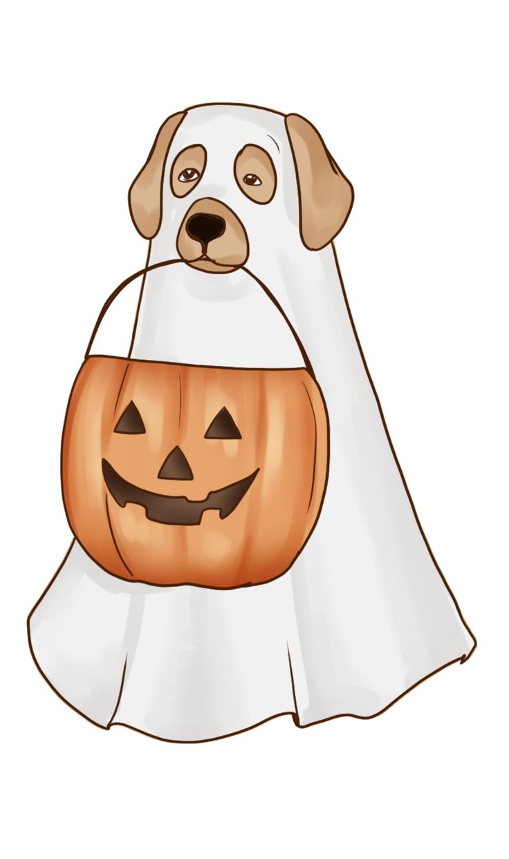 a dog wearing a ghost costume with a pumpkin in its mouth