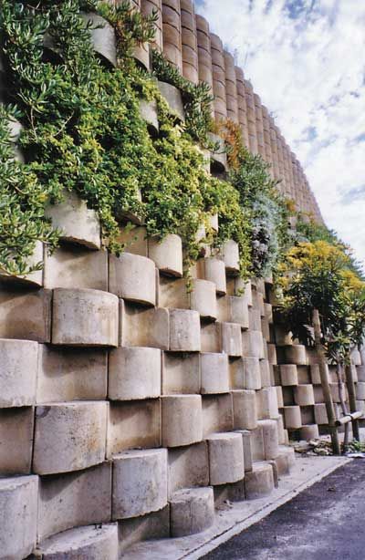 a wall made out of cement blocks with plants growing on it's sides and trees in the background