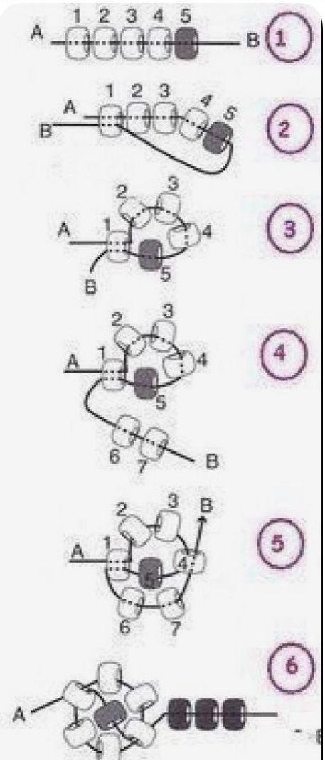 the diagram shows different parts for an engine