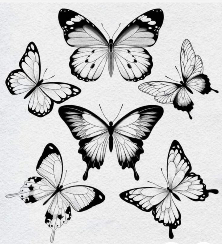 six butterflies flying in the air with one on its back and two on their wings