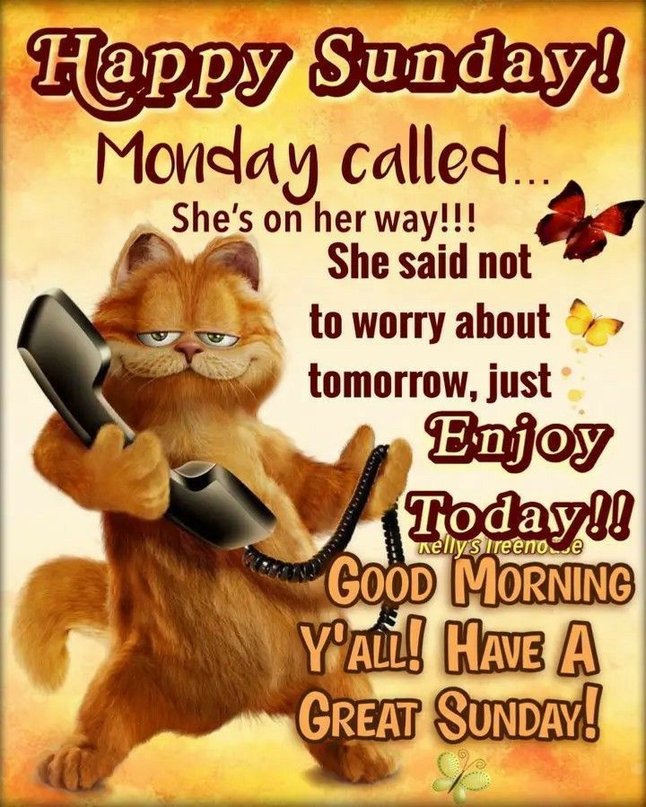 Sunday Coffee Gif, Good Morning Sunday Funny, Happy Sunday Gif, Morning Family Quotes, Cat Good Morning, Good Morning Family Quotes, Weekly Greetings, Sunday Morning Humor, New Week Quotes