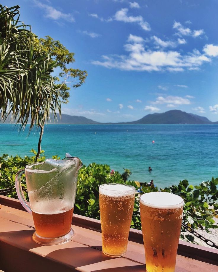 two glasses of beer sitting on top of a wooden table next to the ocean and trees