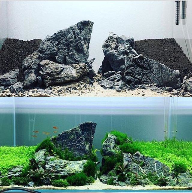 an aquarium filled with rocks and plants next to another fish tank full of algaes