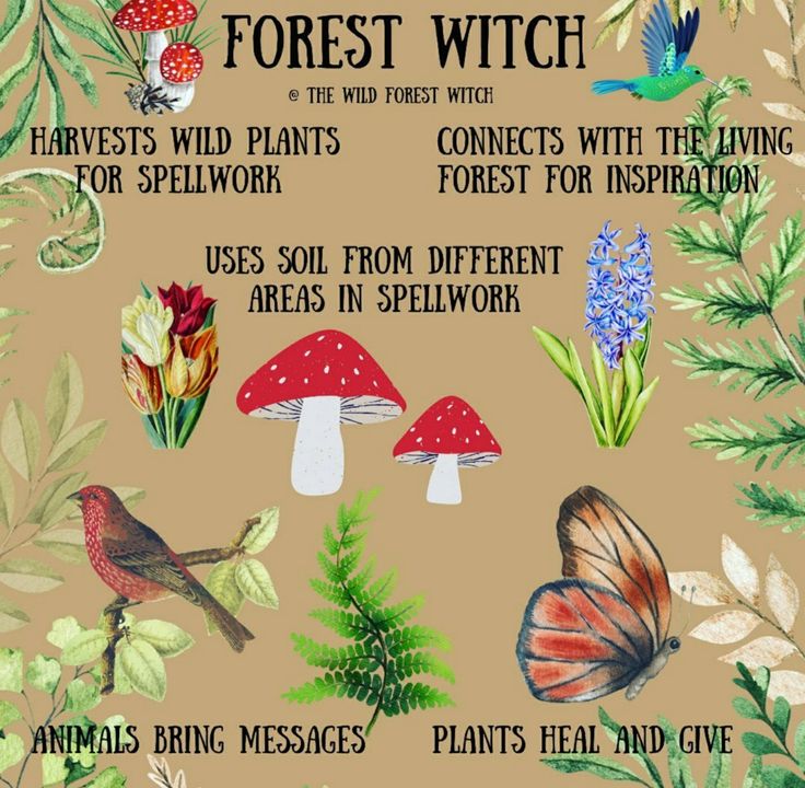 Witch Types, Hedge Witchery, Nature Witch, Magickal Herbs, Green Witchcraft, Forest Witch, Folk Magic, Witch Spirituality, Eclectic Witch