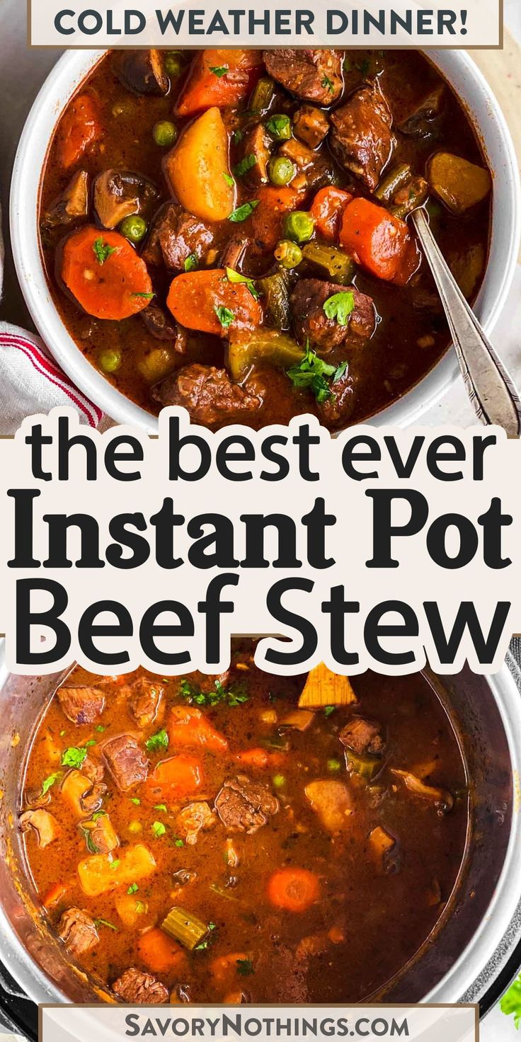 the best ever instant pot beef stew