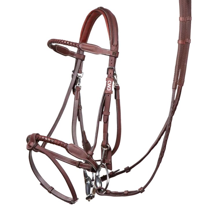 a brown bridle with reins on it