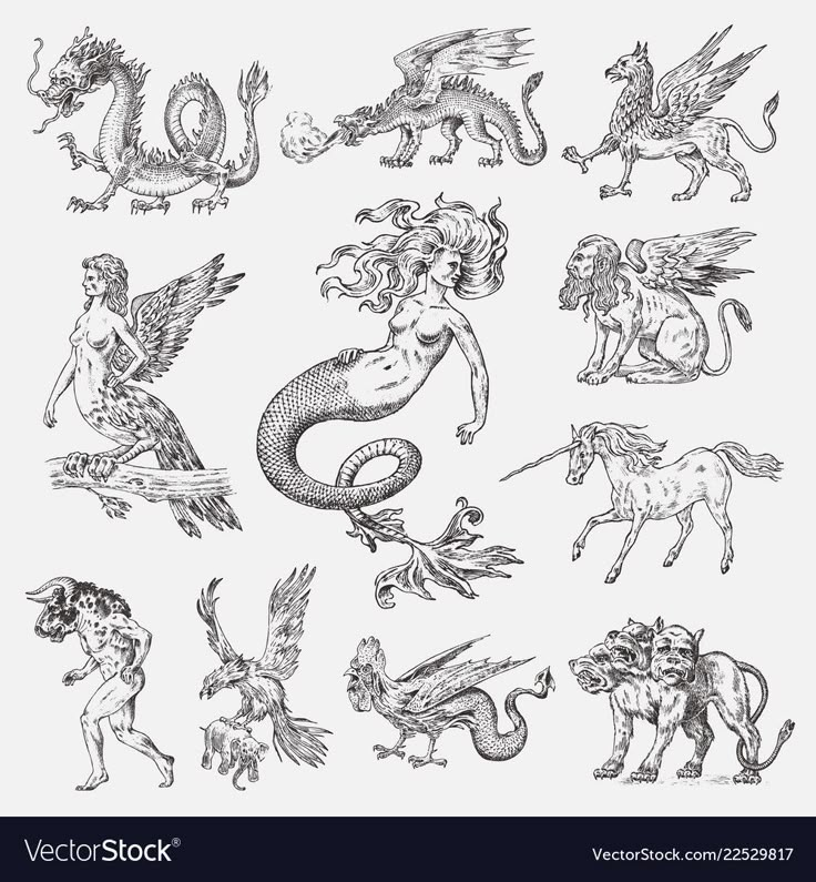 the zodiac signs and their meaningss in black and white stock photo, royalty illustration