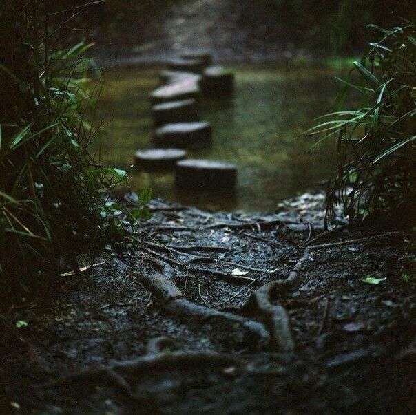 a path that is next to a body of water in the dark with grass on both sides