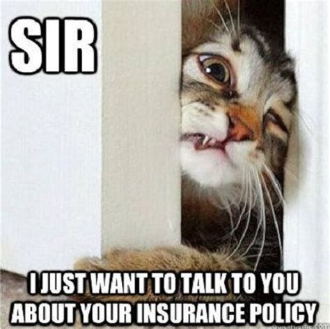 a cat peeking out from behind a door with the caption sir i just want to talk to you about your insurance policy