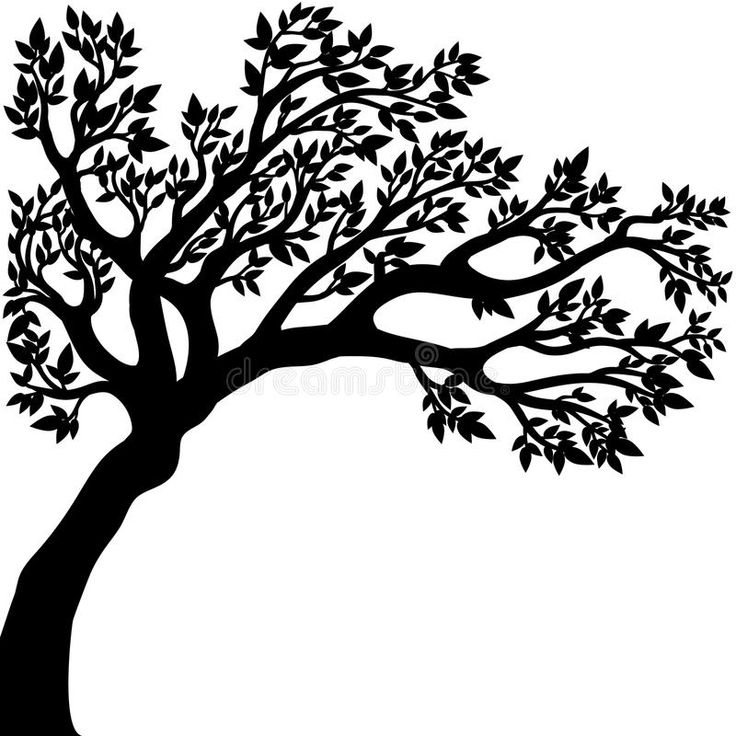 a black and white silhouette of a tree with leaves on the branches stock photo image