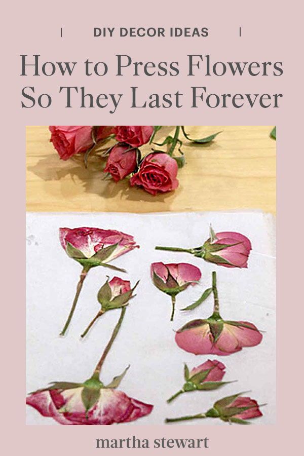 the cover of how to press flowers so they last forever