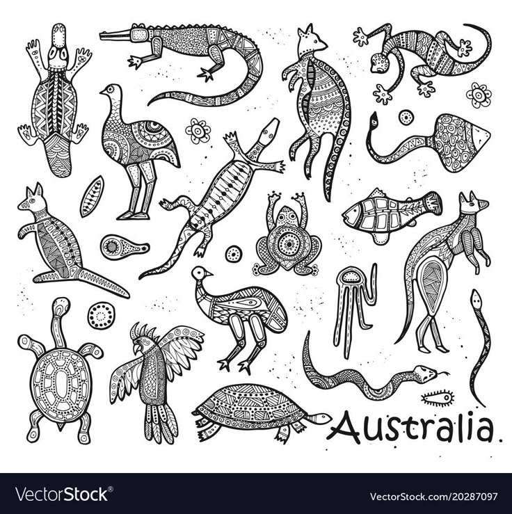 australian animals and birds are drawn in black ink on white paper royalty photo - illustration