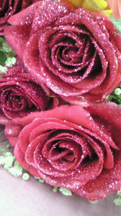 pink roses with green leaves and flowers in the background