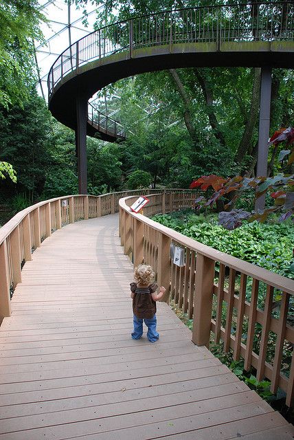 a little boy that is standing on a bridge