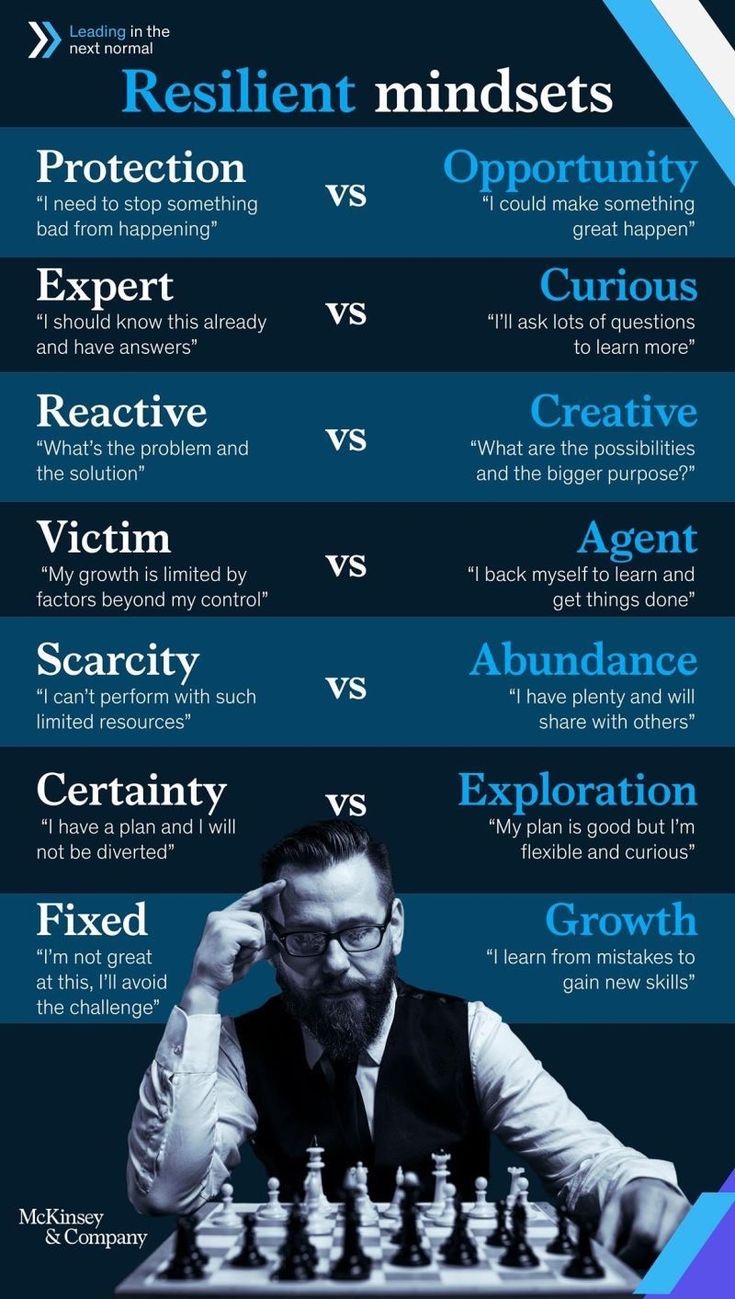 a poster showing the different types of chess players