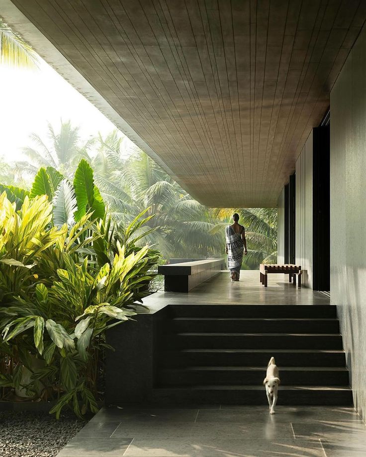 a person walking down some stairs near plants