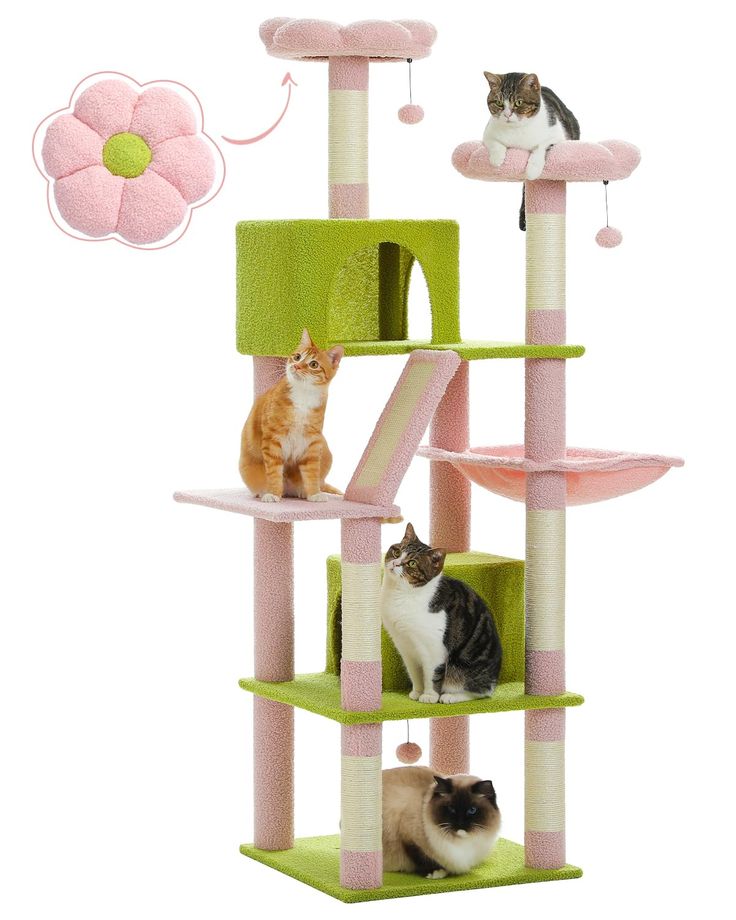 three cats are sitting on top of a cat tree and one is looking up at the sky