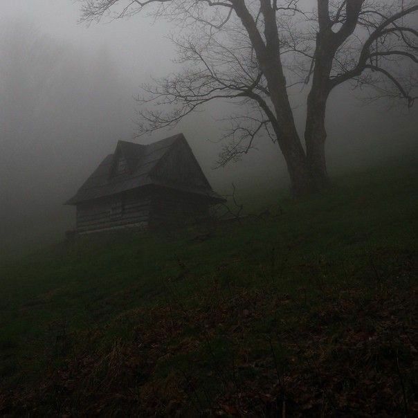 an old log cabin in the fog on a hill with trees and grass around it