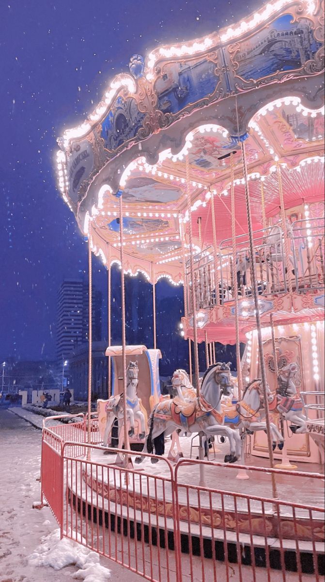 a merry go round in the snow at night