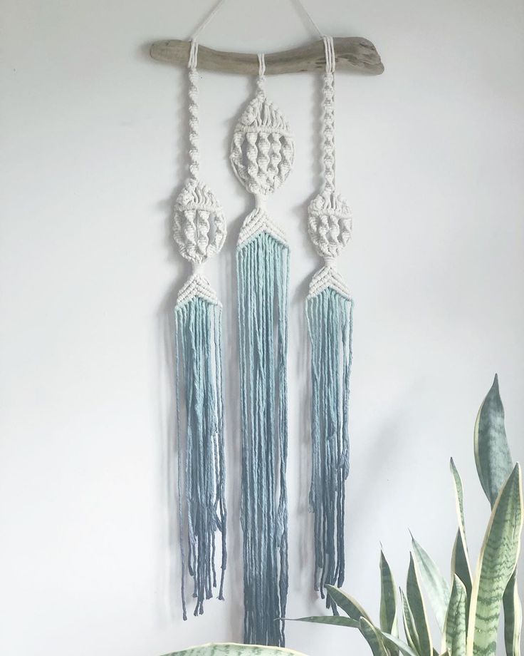 three macrame dream catchers hanging on a wall next to a potted plant