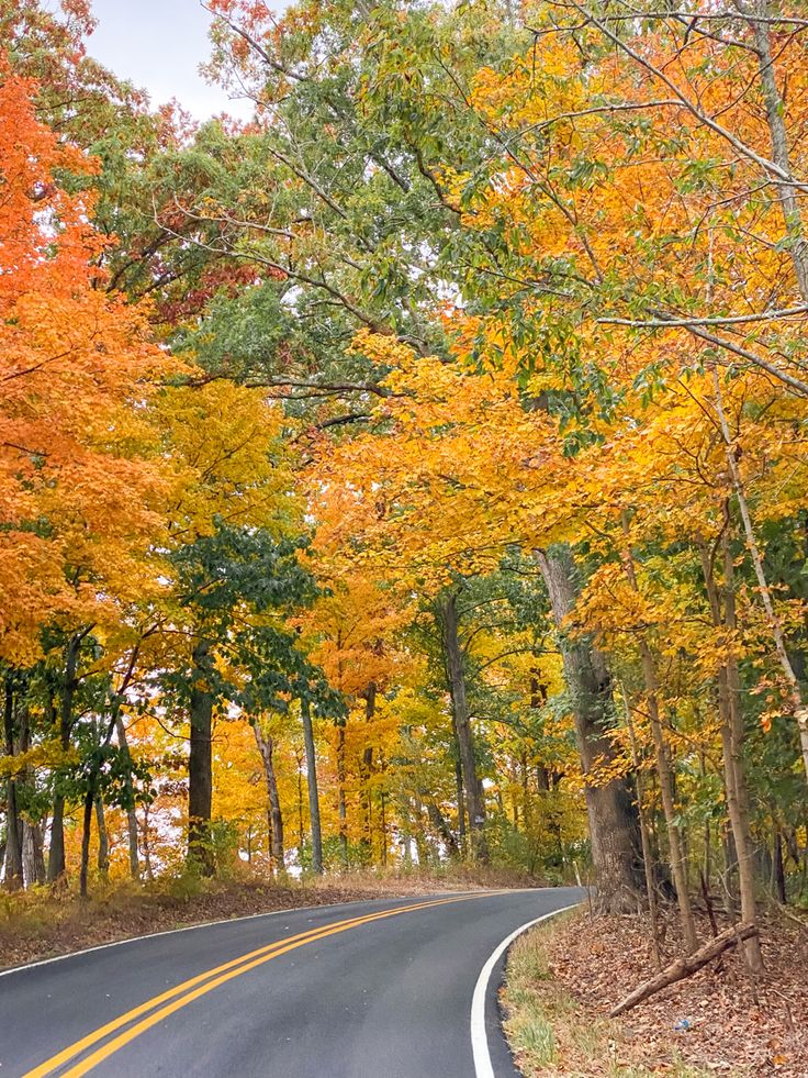 an empty road surrounded by trees with orange and yellow leaves