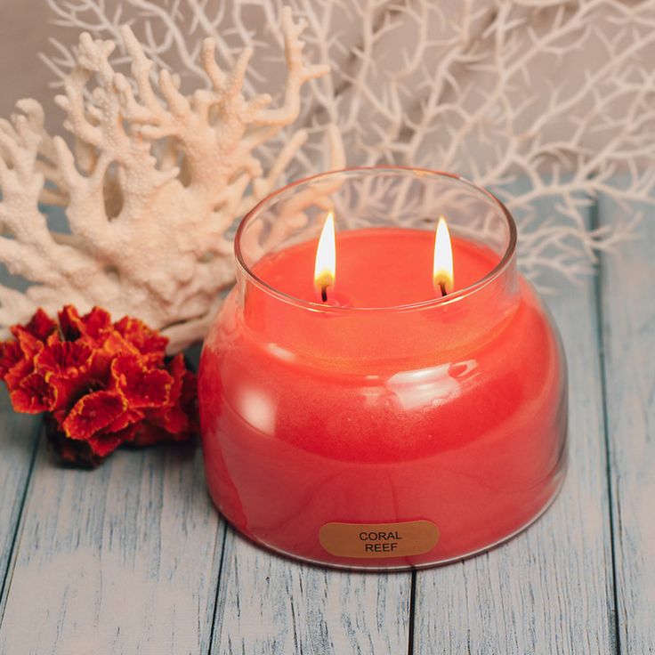 a red candle sitting on top of a wooden table next to a coral and sea fan