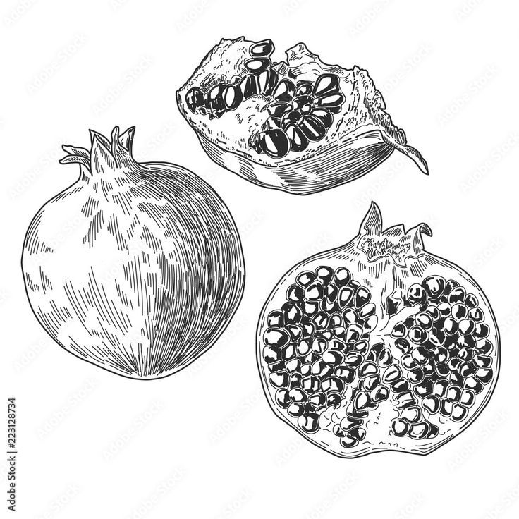 hand drawn pomegranates with leaves and seeds on white background stock photo