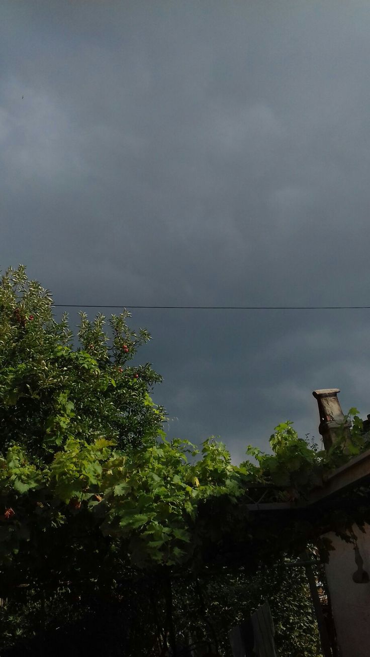 the sky is very dark and cloudy with some green plants growing on top of it